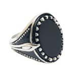 Titanium Ring - RT244