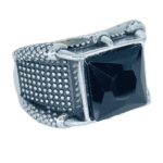 Titanium Ring - RT249