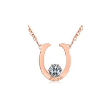 Titanium Necklace - GL93